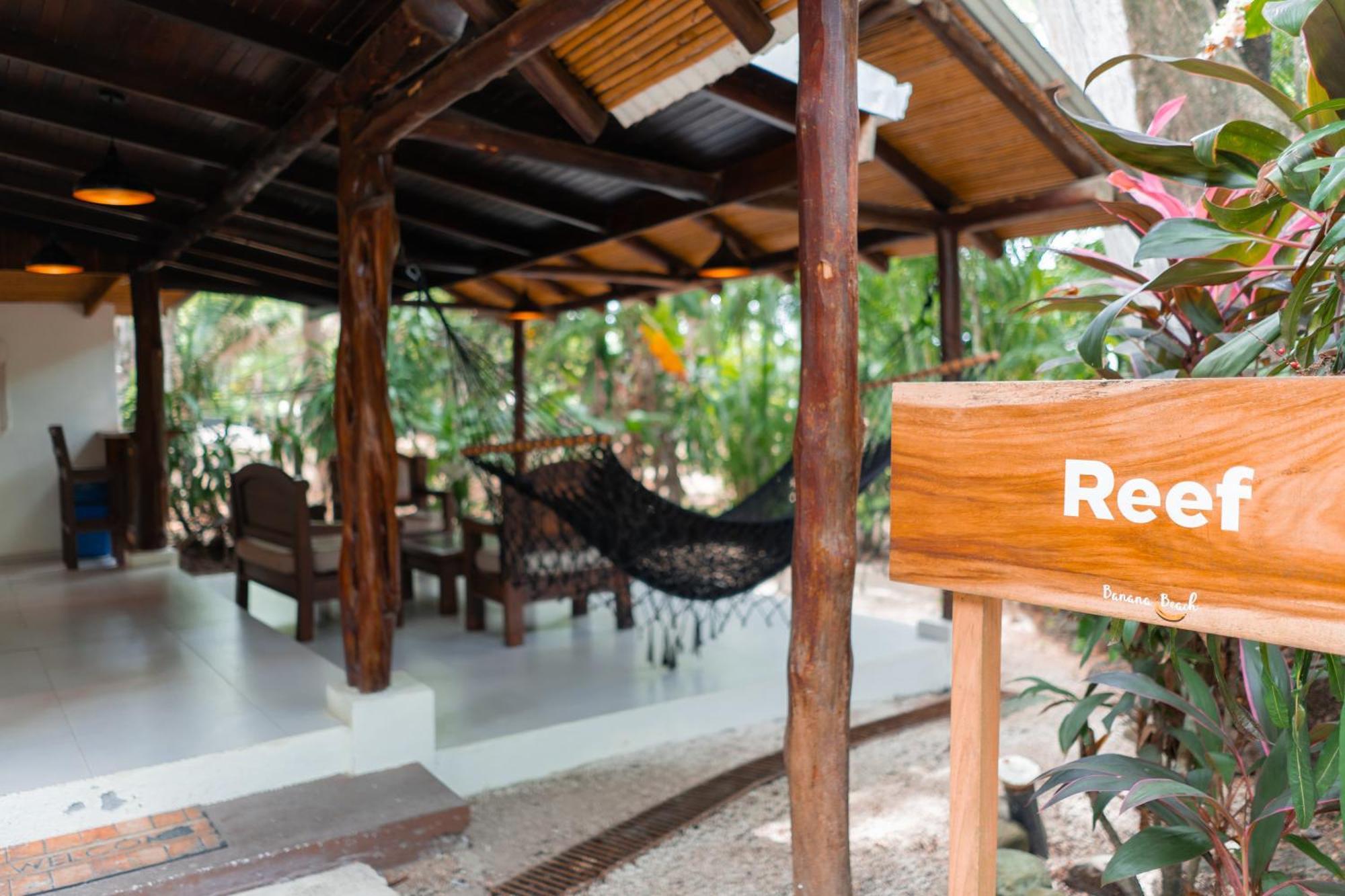 Banana Beach Bungalows Playa Santa Teresa  Экстерьер фото