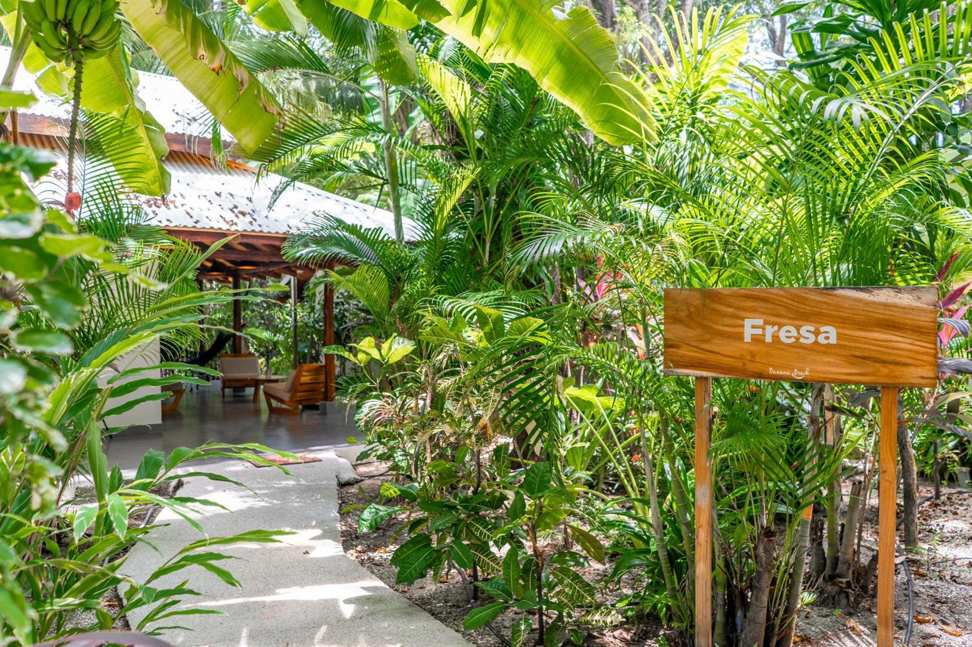 Banana Beach Bungalows Playa Santa Teresa  Экстерьер фото